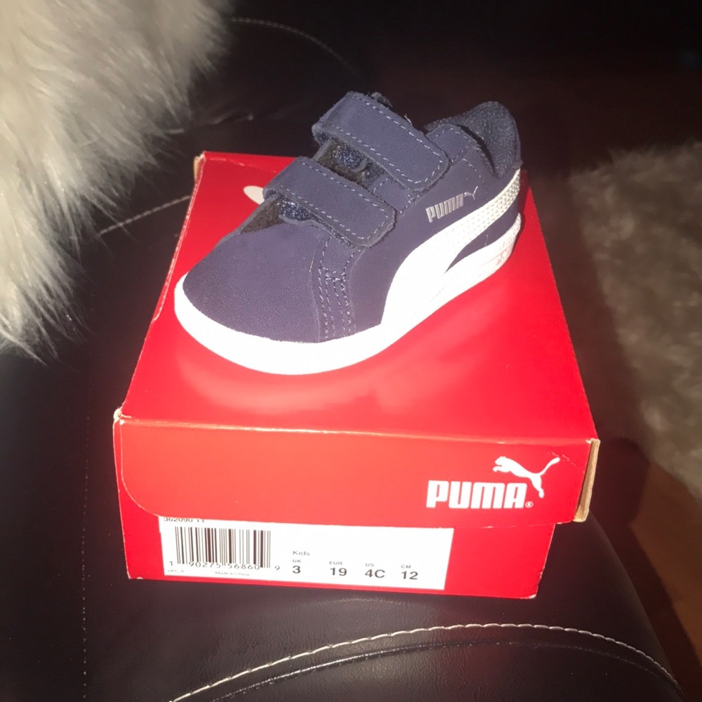 Baby pumas